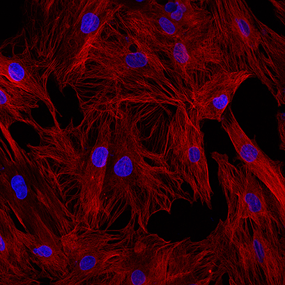 1642562181692740.png 圖片3.png